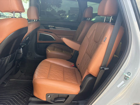 2024 Kia Telluride SX X-Line, photo 6 of 9