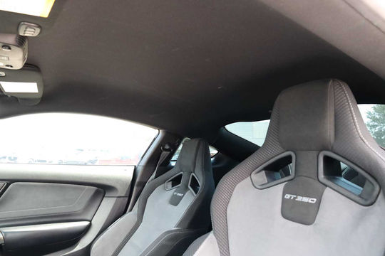 2019 Ford Mustang Shelby GT350, photo 5 of 10